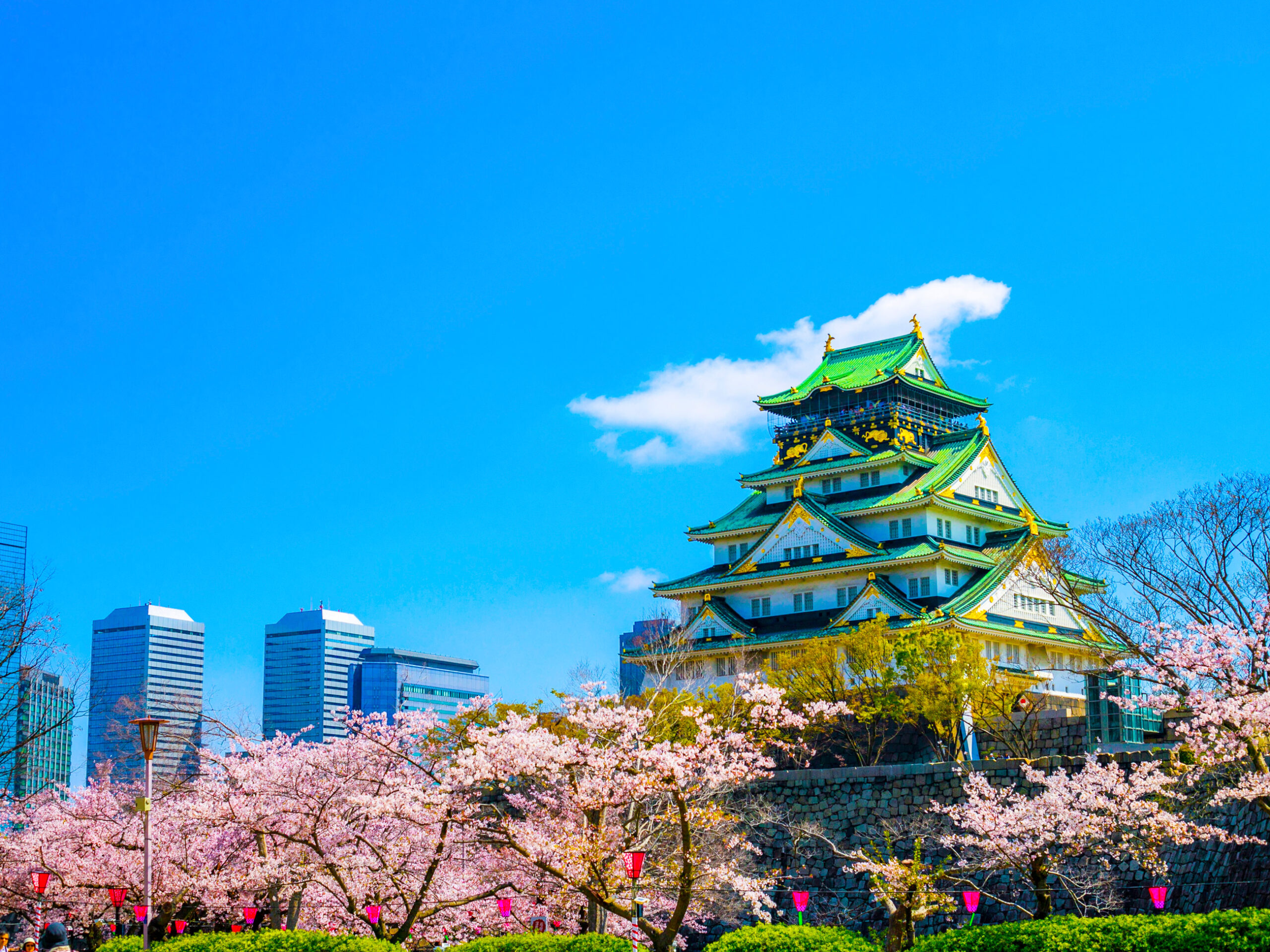 the Osaka Castle surrounded by cherry blossoms