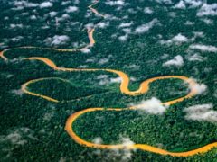 Manu Peru wildlife adventure