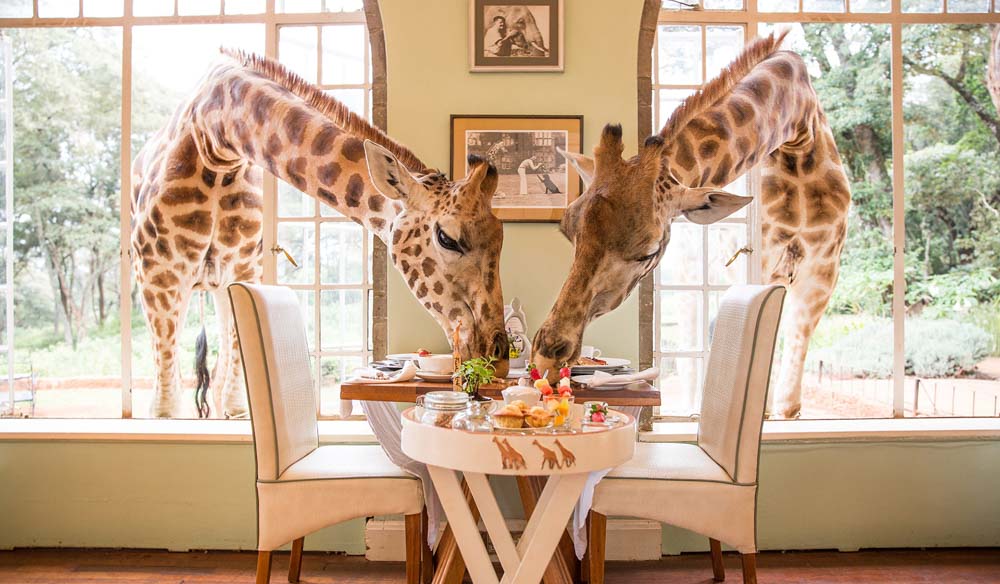 Giraffe Manor Rothschild Nairobi