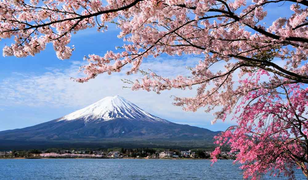 Japan Mount fuji hikes travel