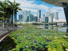 Art Science Museum skyline singapore garden