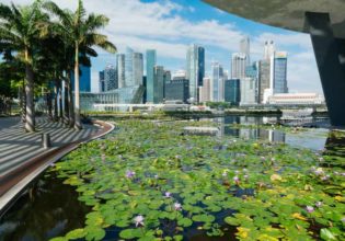 Art Science Museum skyline singapore garden