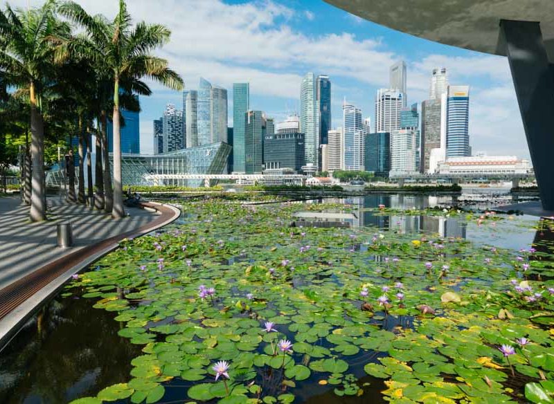 Art Science Museum skyline singapore garden
