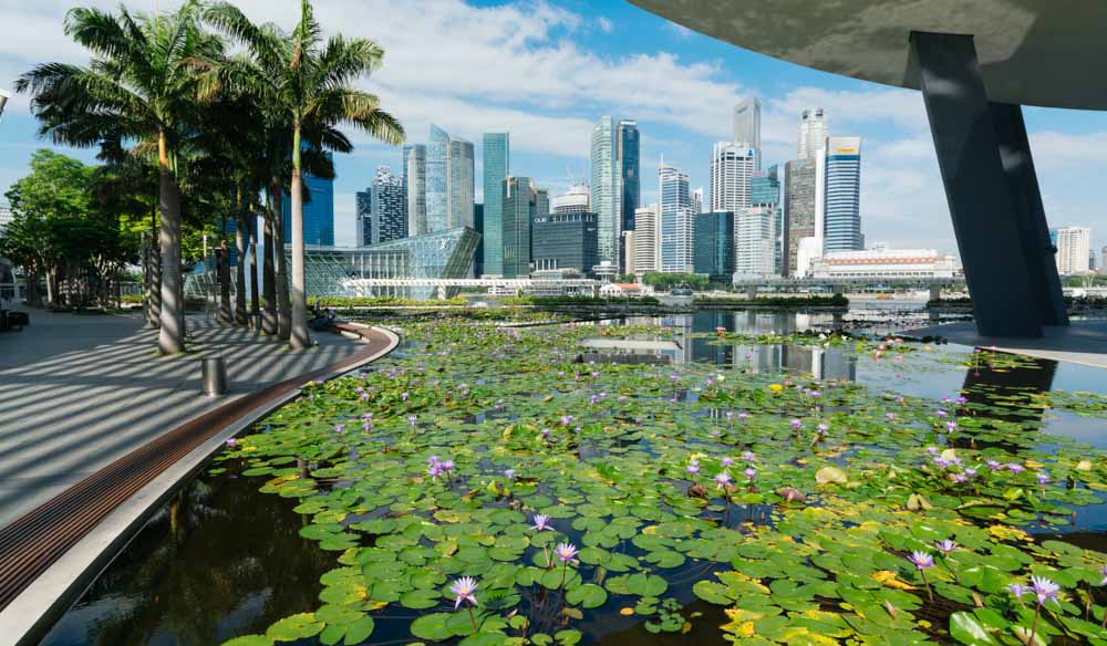 Art Science Museum skyline singapore garden