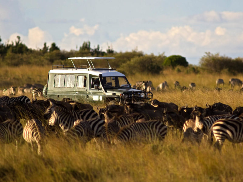 what makes a good African safari truck