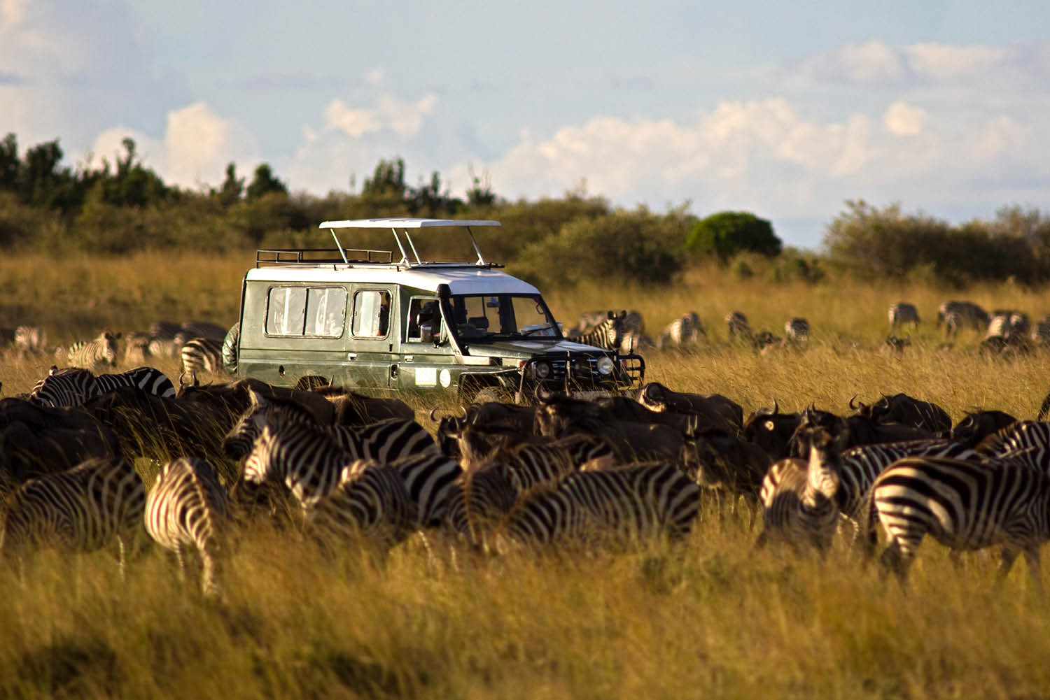 african safari truck