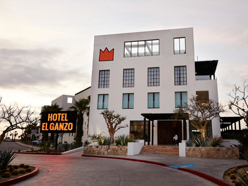 Hotel El Ganzo mexico stays accommodation pool
