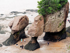 Hopewell Rocks
