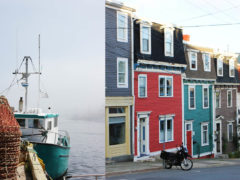 Petty Harbour