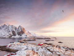 adventure northern lights beautiful sky romantic nature