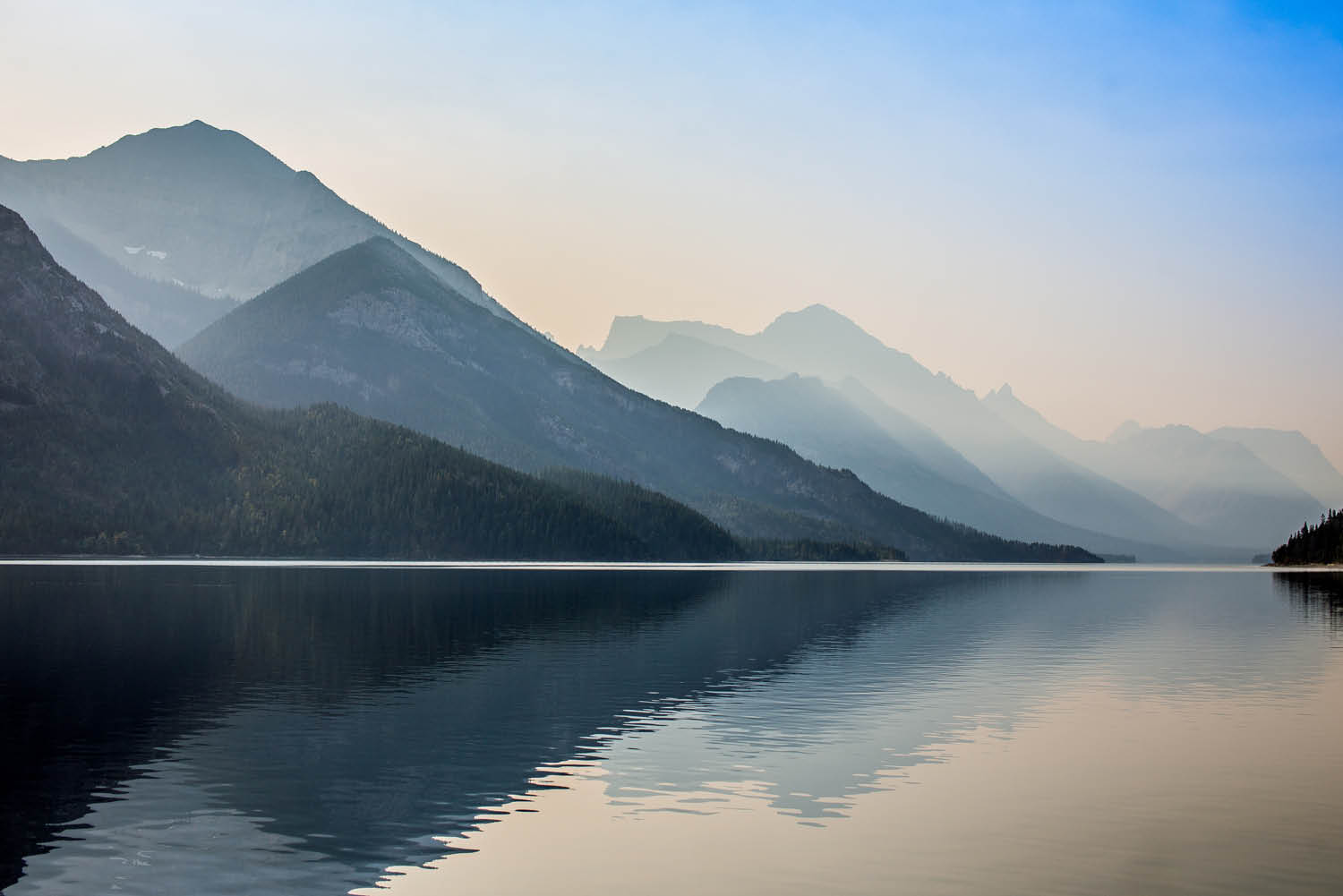 wildlife land culture history fauna flora rocks lakes sights nature Waterton Lakes National Park