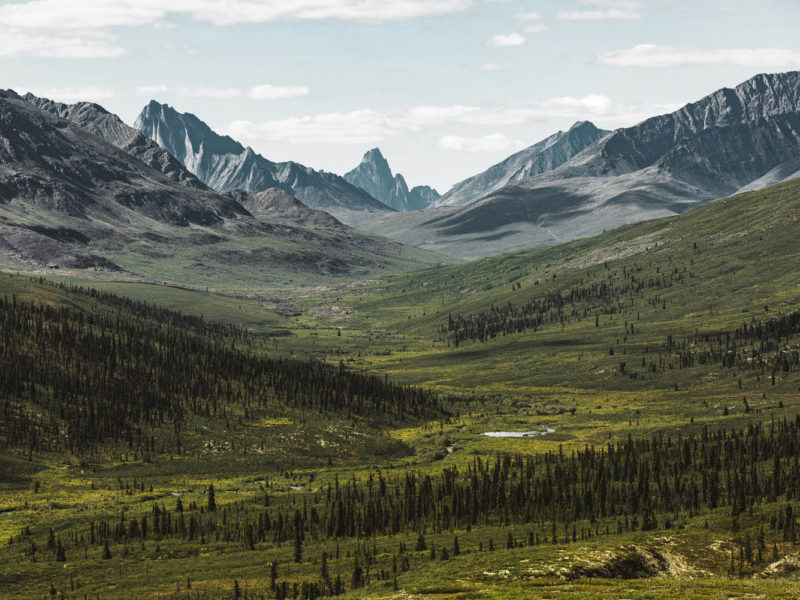 Tombstone Territorial Park its name