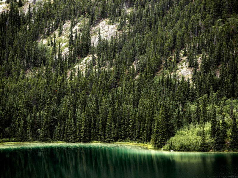 Emerald Lake aqua Yukon