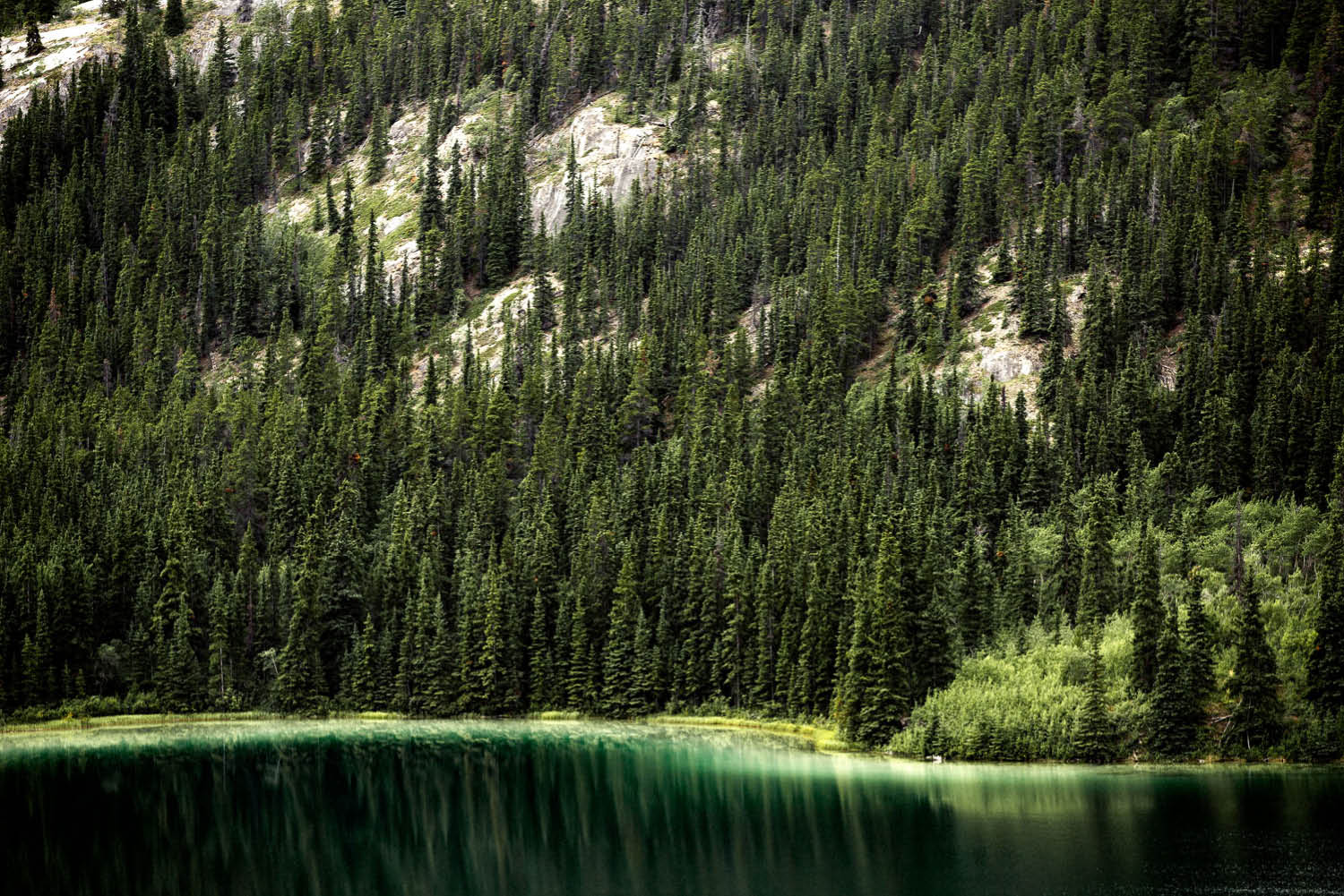 Emerald Lake aqua Yukon