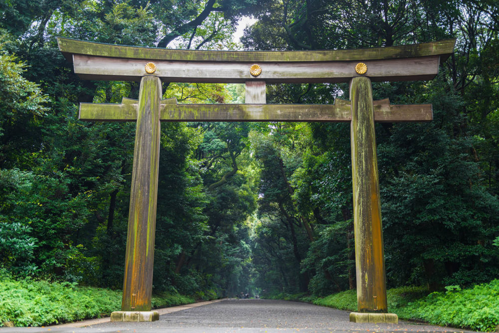 Torri Gate to Meiji Shrine