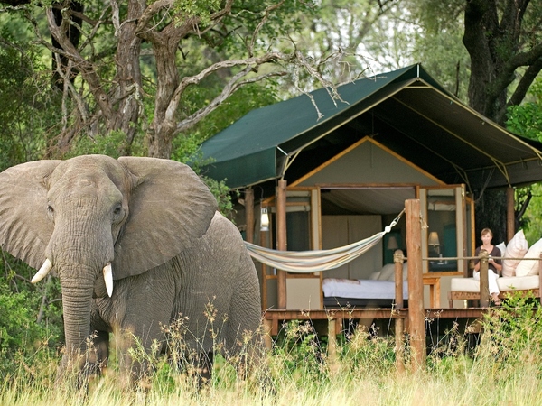 Stanley’s Camp in Botswana.