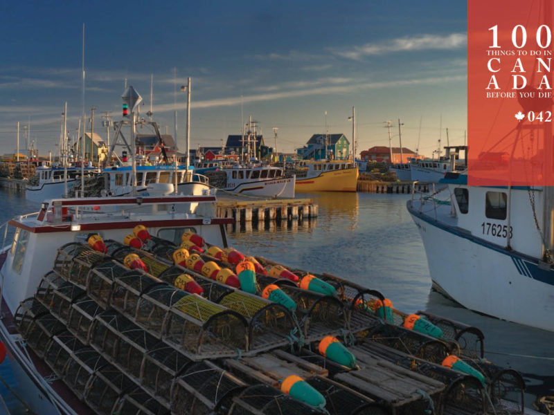 Discover the magic of the Magdalen Islands