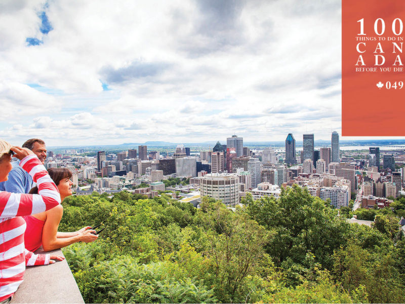 Experience majestic views atop Montréal's pretty Mont Royal