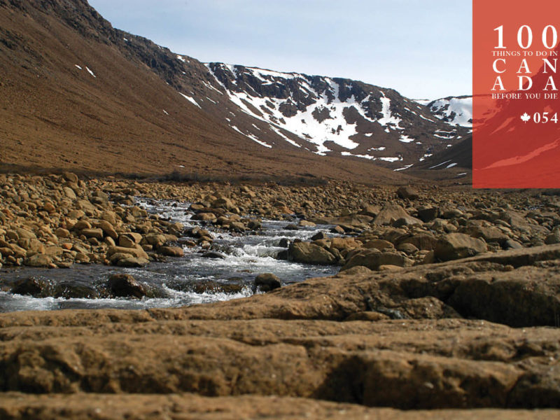 Tread the earth’s exposed mantle at Gros Morne