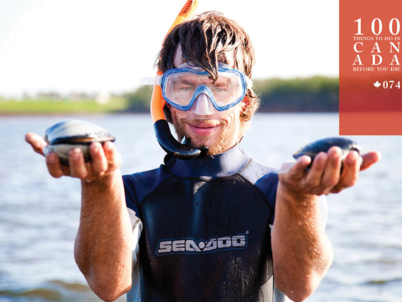 Dig for giant clams on Canada's Prince Edward Island