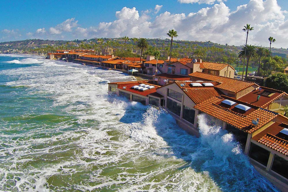 5 Reasons La Jolla Is San Diego S Neverland International