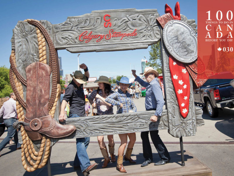 Saddle up for the Calgary Stampede