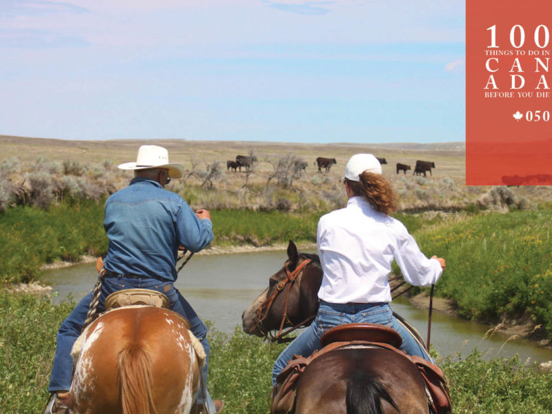 Live like a cowboy in Canada's Grasslands National Park