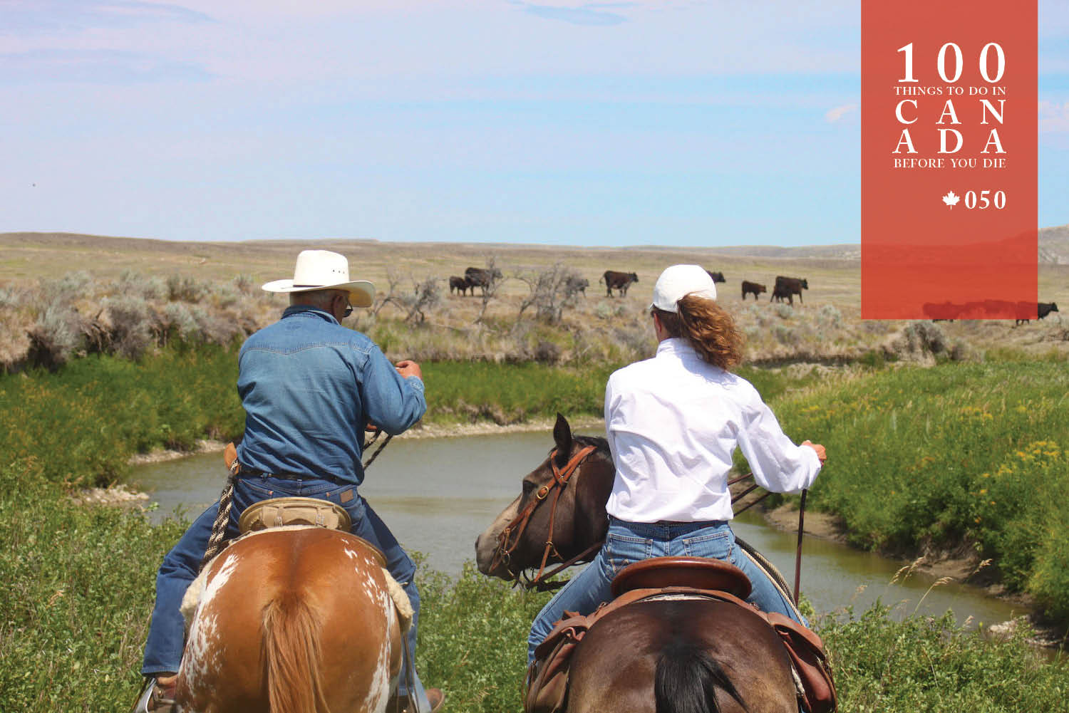 Live like a cowboy in Canada's Grasslands National Park