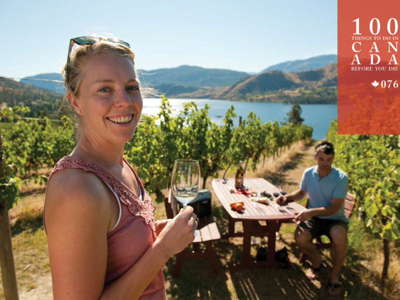 Wander among the vines of the Okanagan Valley