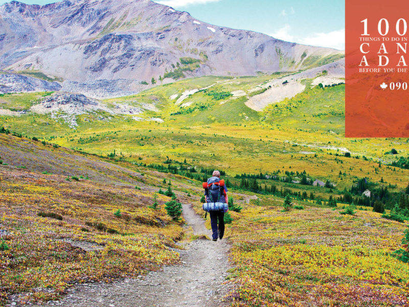 Scale the Skyline Trail in Alberta's Jasper National Park