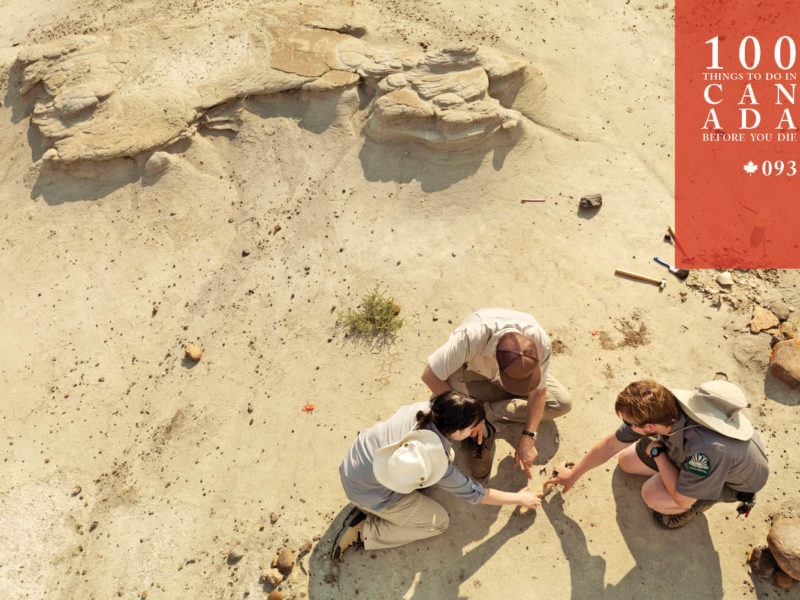 Walk with the dinosaurs in Canada's striking Badlands