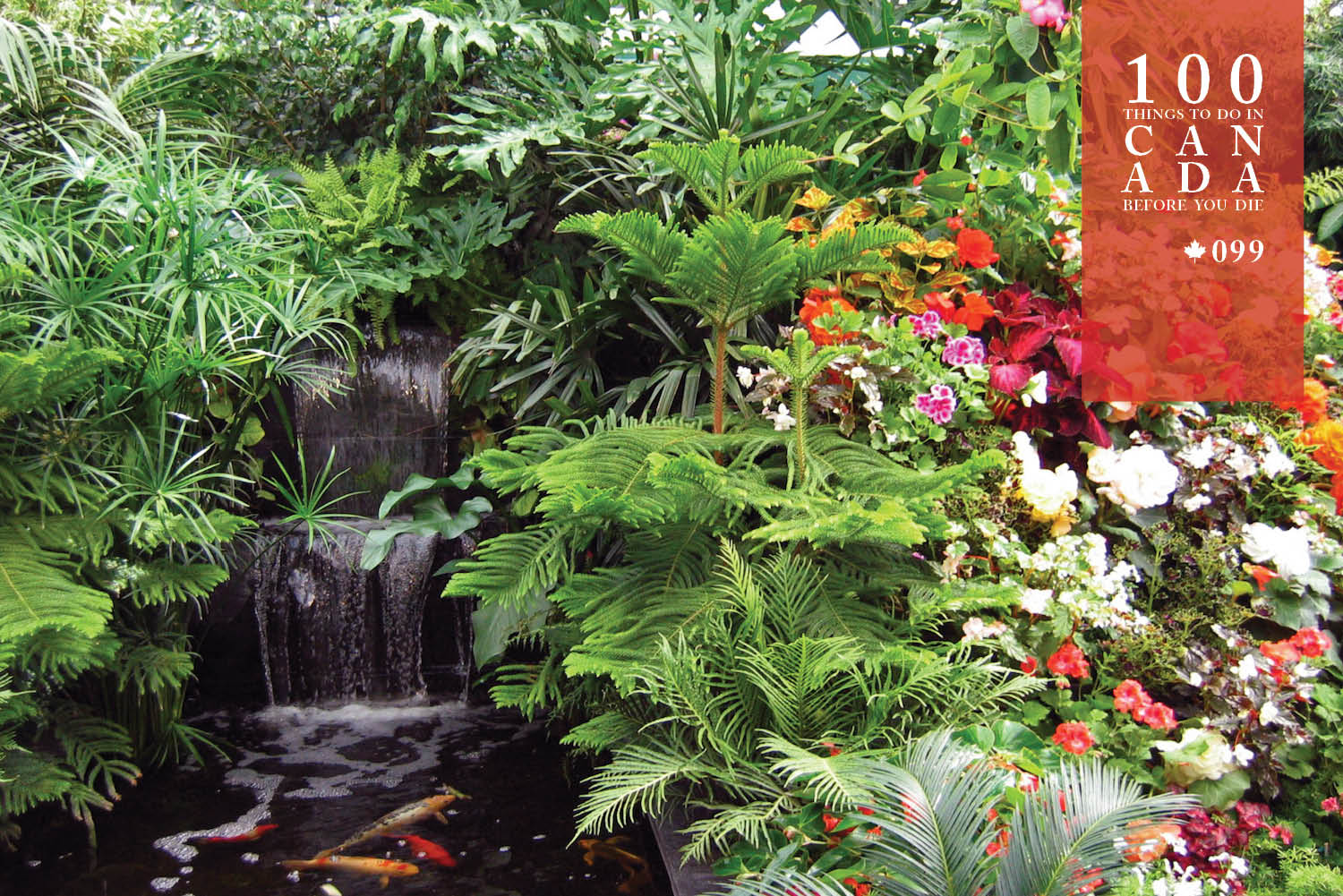 Tiptoe through the tulips at Canada's Butchart Gardens