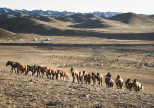 why visit mongolia horses desert culture yurt