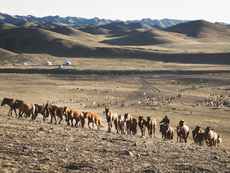 why visit mongolia horses desert culture yurt