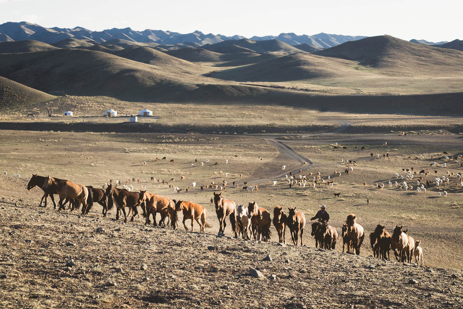 why visit mongolia horses desert culture yurt