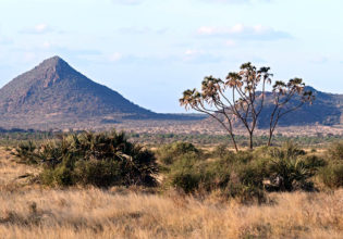 Samburu National Reserve Kenya luxury safari wildlife