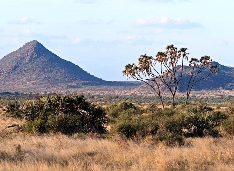 Samburu National Reserve Kenya luxury safari wildlife