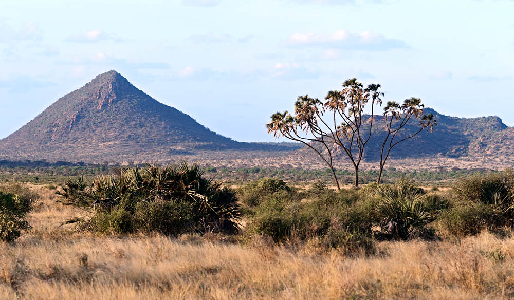 Samburu National Reserve Kenya luxury safari wildlife