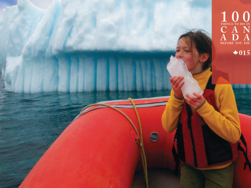 Dodge the frozen giants of Canada's Iceberg Alley