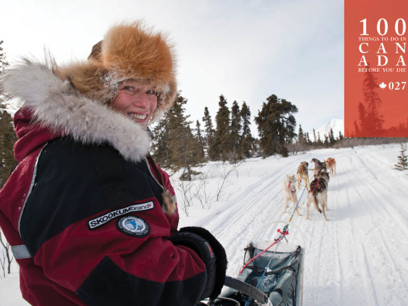 Experience the thrill of a dog sled ride across Yukon's frozen lakes
