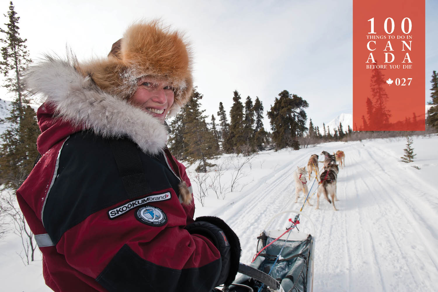 Experience the thrill of a dog sled ride across Yukon's frozen lakes