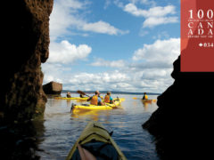 Rise with the tide at the Bay of Fundy