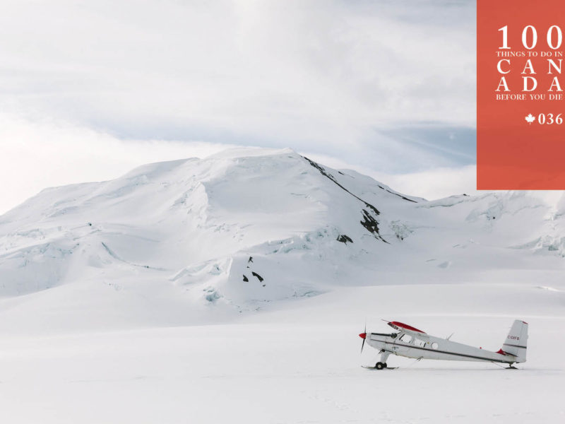 Soar over the ice fields of Kluane National Park