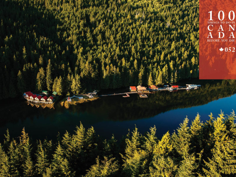 Lodge in style at the Great Bear Rainforest's Nimmo Bay Resort