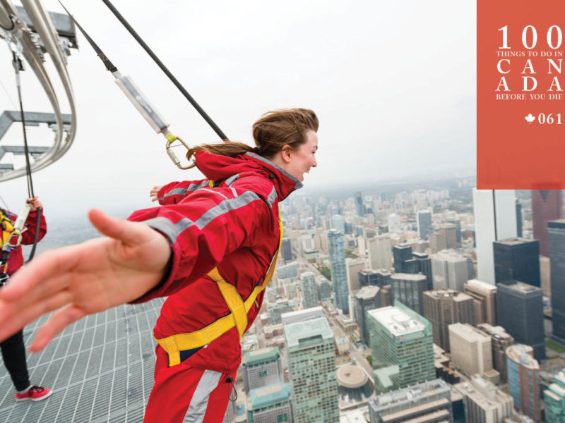 Take a walk over the wild side for the best view in Toronto