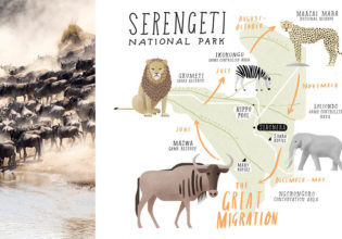 Serengeti national park Safari Tanzania Africa