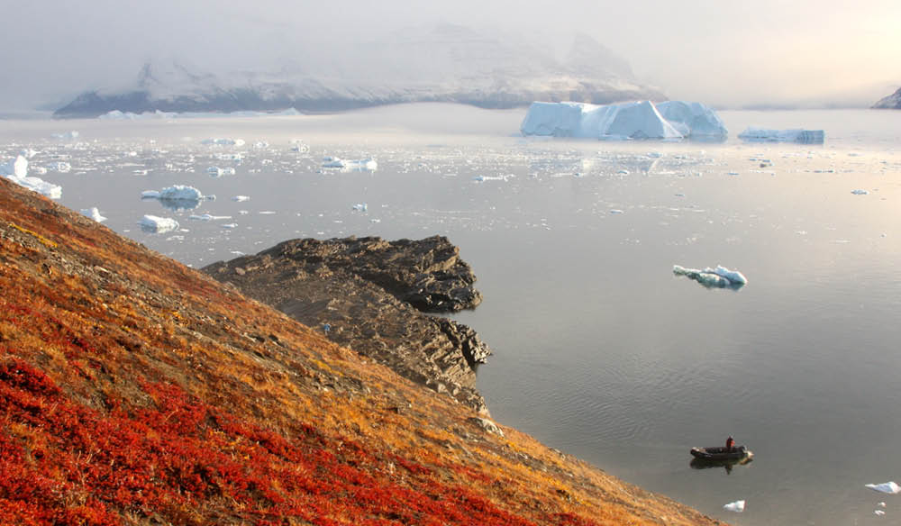 cruise canada greenland