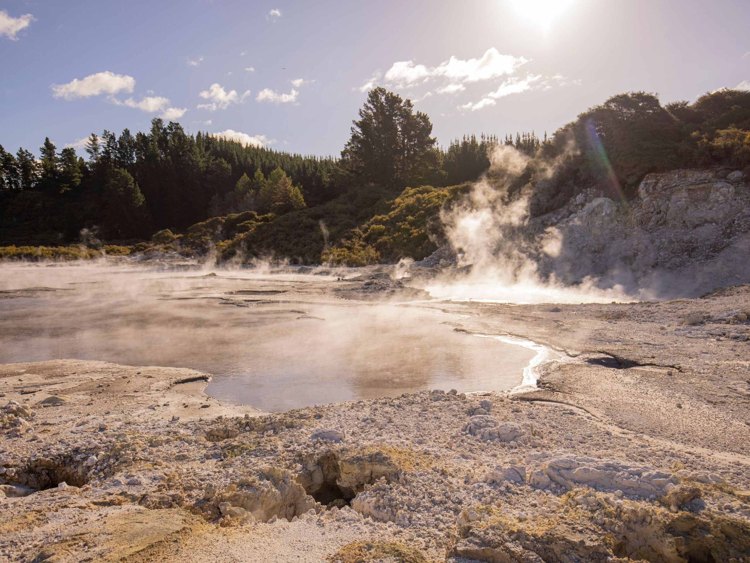 mud bath at Hell&rsquo;s Gate, Rotorua