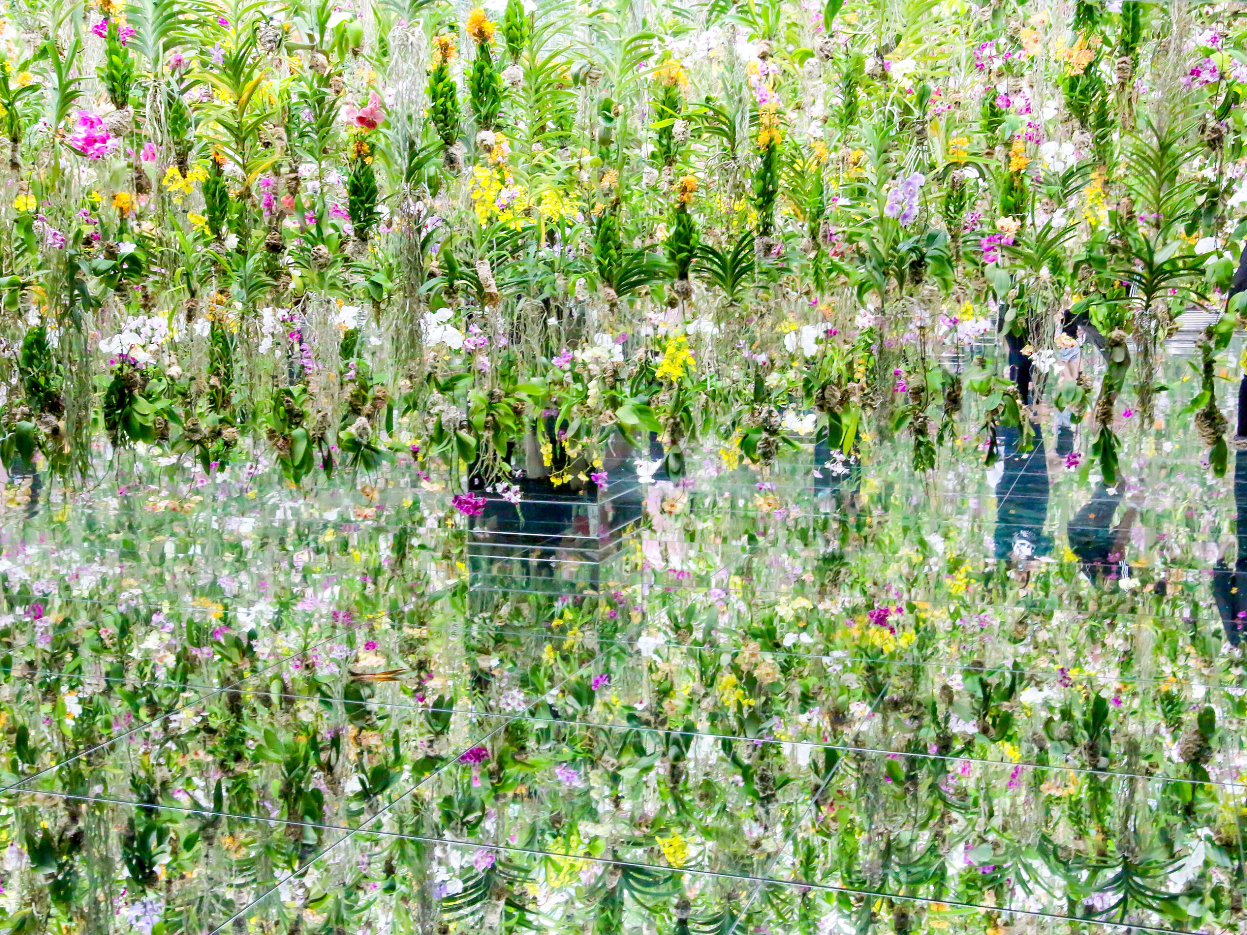 Floating Flower Garden at teamLab Planets in Tokyo, Japan
