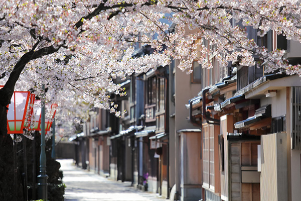 Kaikaro in Higashi Chaya District – Kanazawa’s largest teahouse